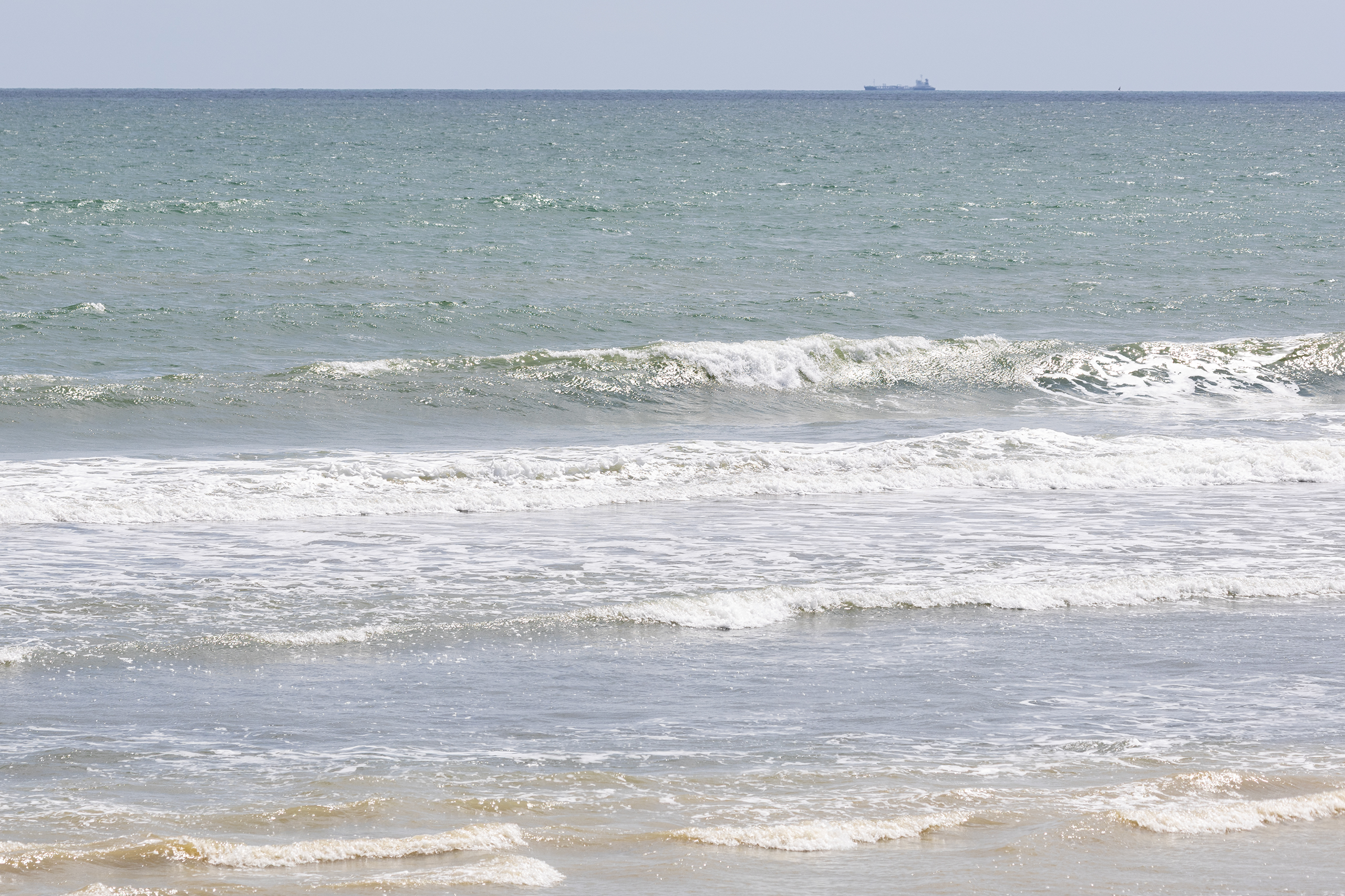和田 サーフィン・波情報/Surf Report WeekdaySurfReport SURF+