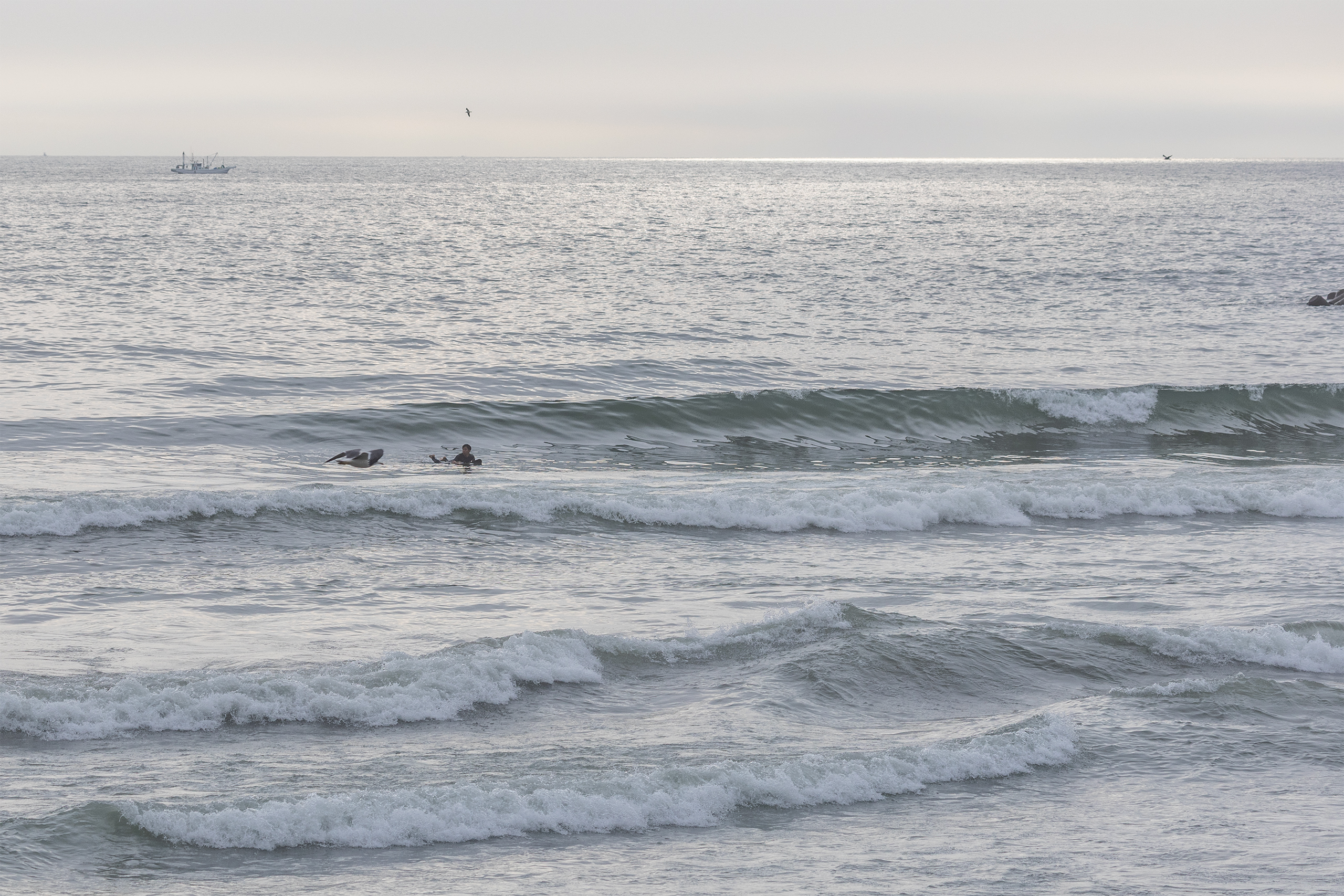 鉾田 サーフィン・波情報/Surf Report WeekdaySurfReport SURF+